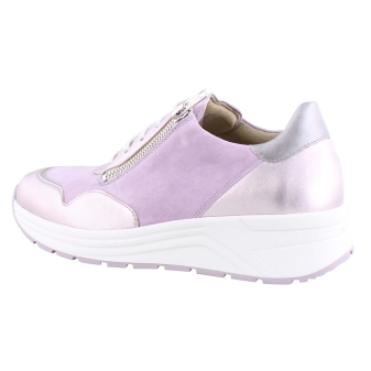Solidus 46020 Holly rose