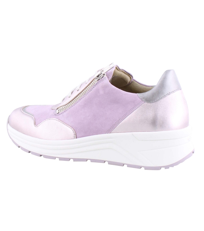 Solidus 46020 Holly rose