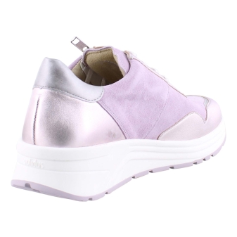 Solidus 46020 Holly rose