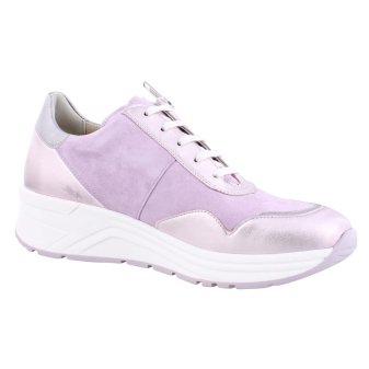 Solidus 46020 Holly rose