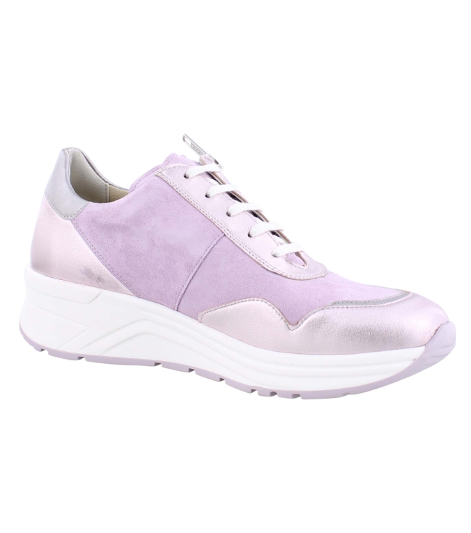 Solidus 46020 Holly rose