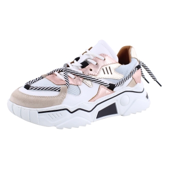 DWARS J554C-69 rose