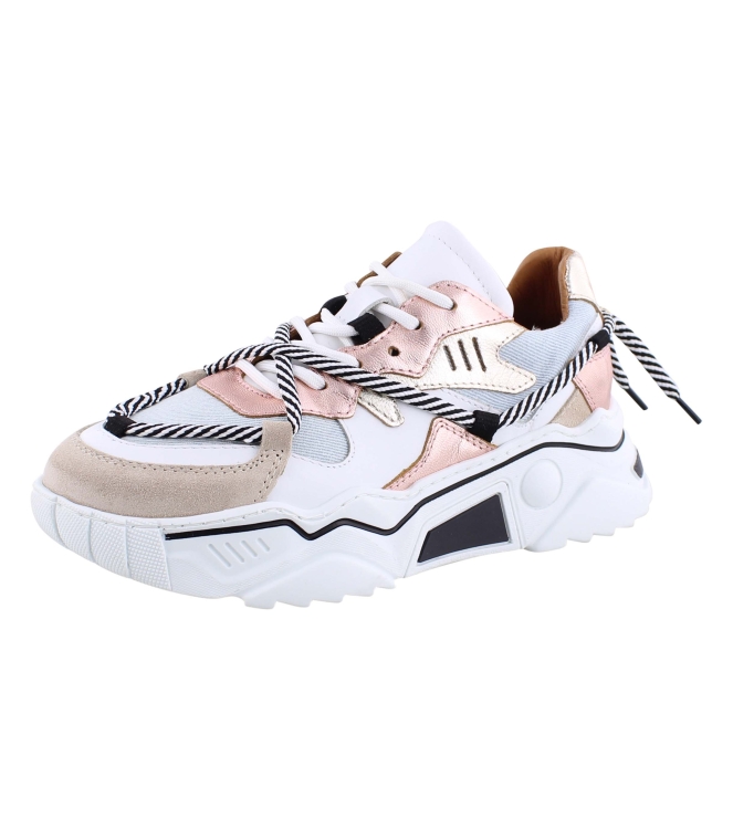 DWRS J554C-69 rose