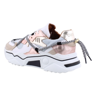 DWRS J554C-69 rose