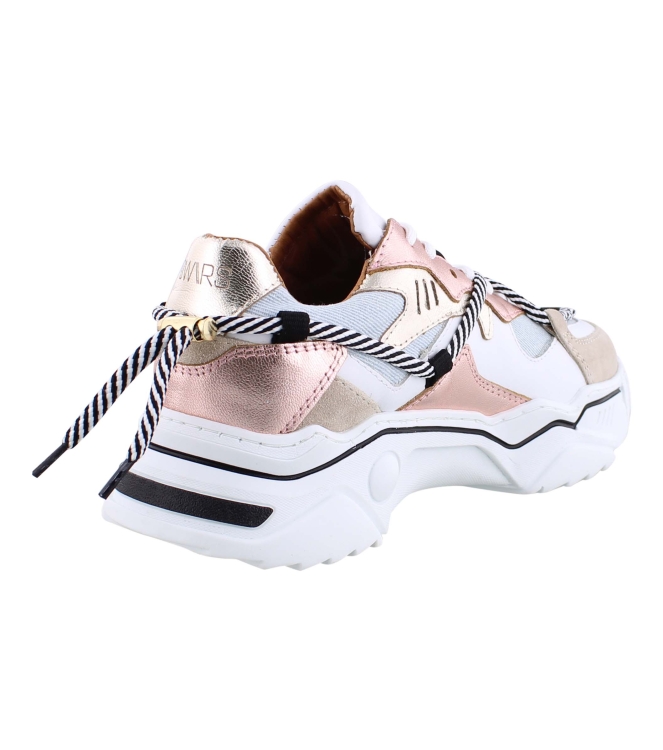 DWRS J554C-69 rose