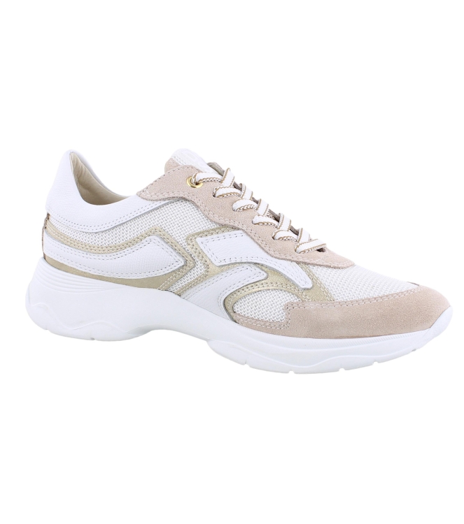 DL Sport 6540 rose