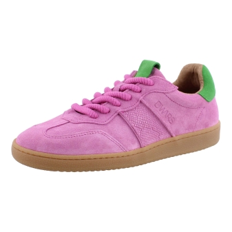 DWARS B11456 rose
