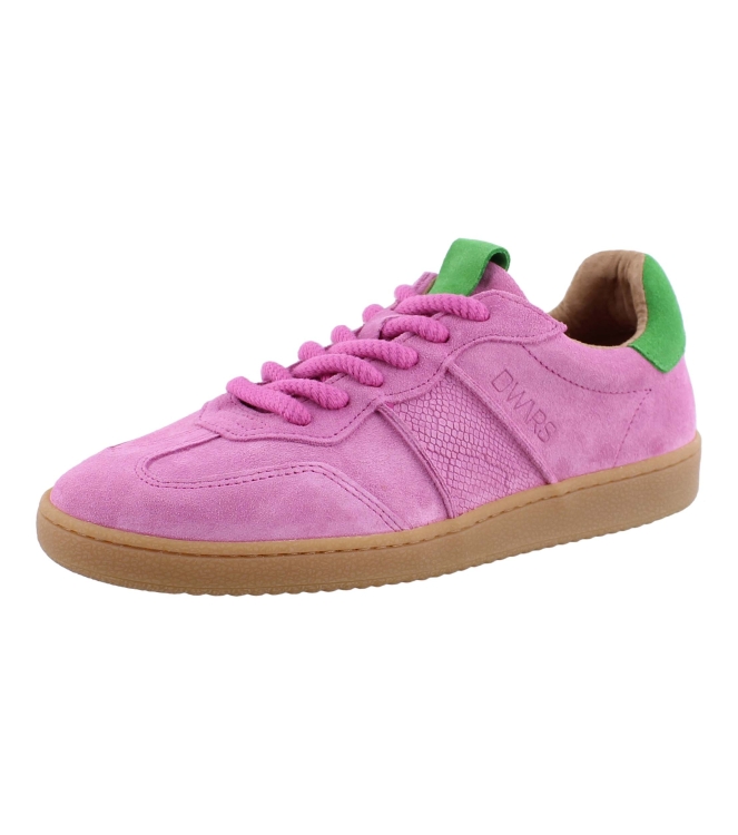 DWRS B11456 rose