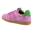 DWRS B11456 rose