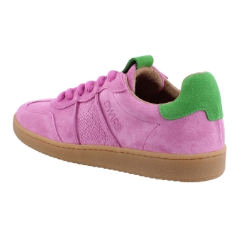 DWRS B11456 rose