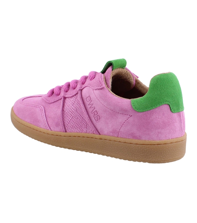 DWRS B11456 rose