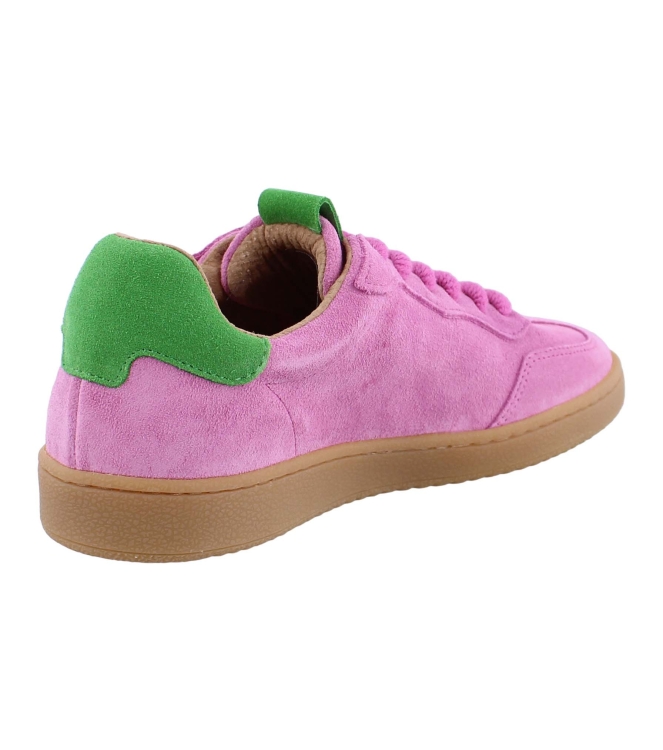 DWRS B11456 rose