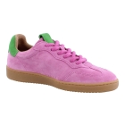 DWRS B11456 rose