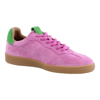 DWRS B11456 rose
