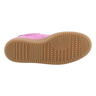 DWRS B11456 rose