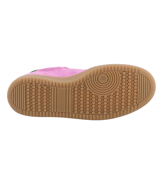 DWRS B11456 rose
