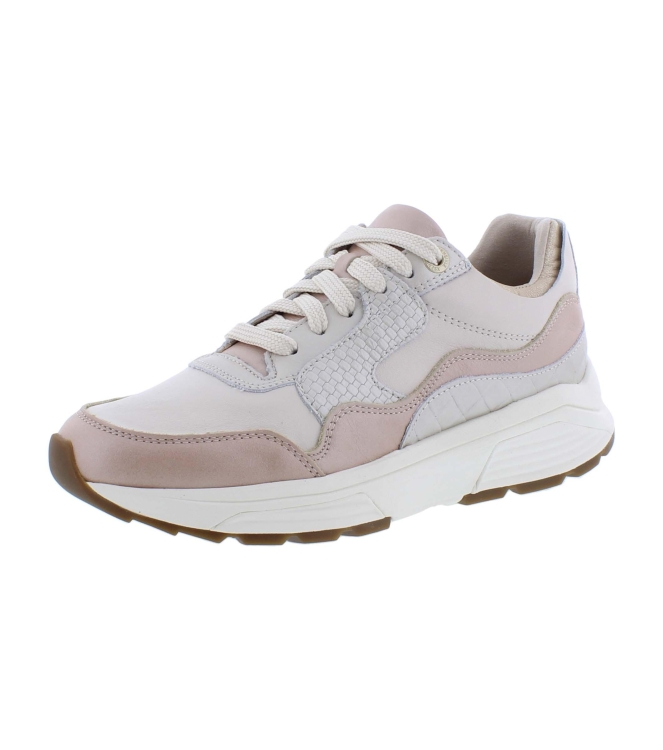 Xsensible 33000.3 Golden Gate rose