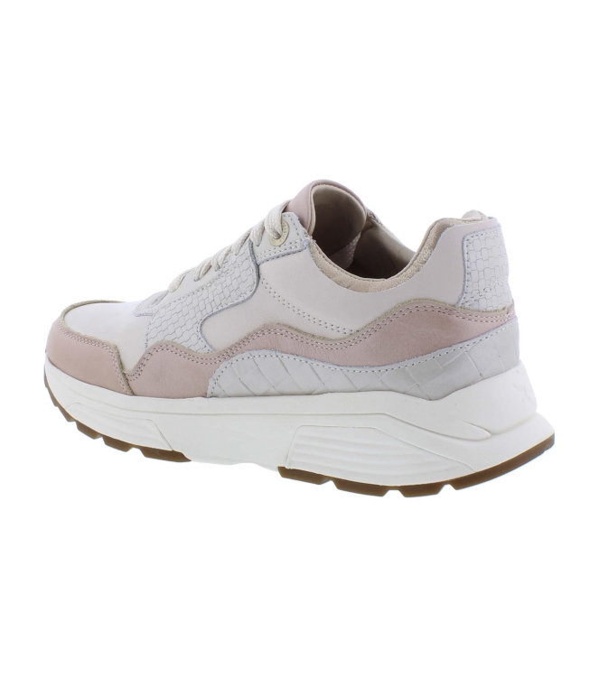 Xsensible 33000.3 Golden Gate rose