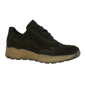 Solidus 66025 groen