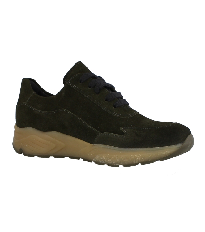Solidus 66025 groen