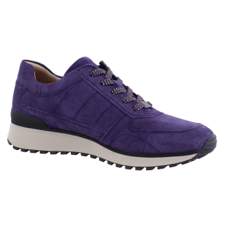 Caprice 9-23701-41 paars