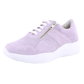Solidus 66017 lila