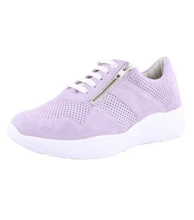Solidus 66017 lila