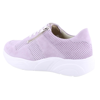 Solidus 66017 lila