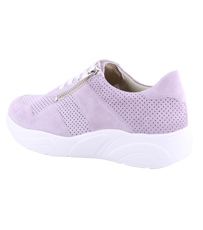 Solidus 66017 lila