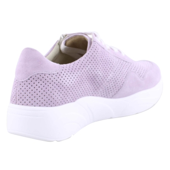 Solidus 66017 lila