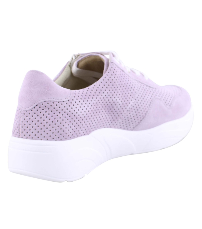 Solidus 66017 lila