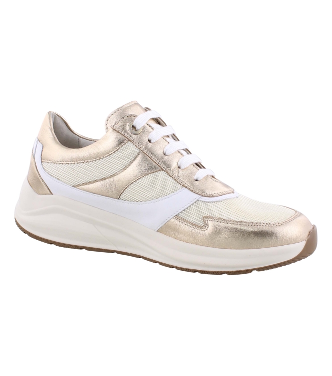 Solidus 54504 goud