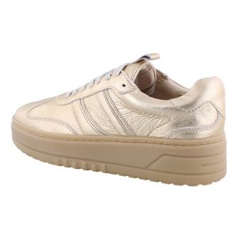 PS Poelman LPANEMONE-29POE10 goud