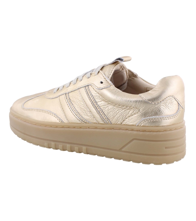 PS Poelman LPANEMONE-29POE10 goud