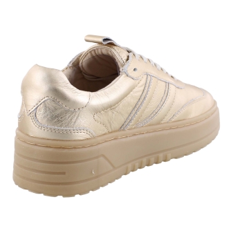 PS Poelman LPANEMONE-29POE10 goud