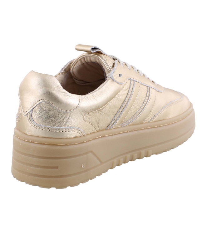 PS Poelman LPANEMONE-29POE10 goud