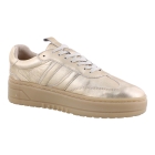 PS Poelman LPANEMONE-29POE10 goud