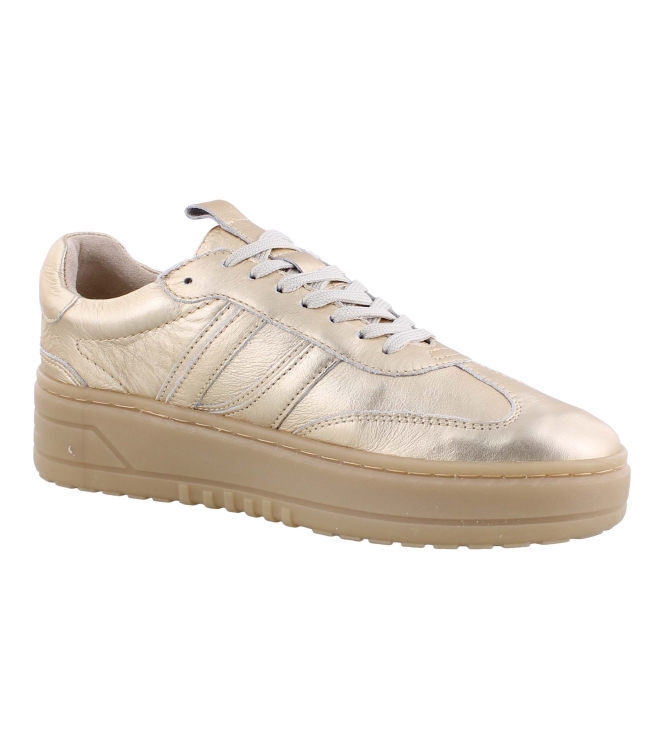 PS Poelman LPANEMONE-29POE10 goud