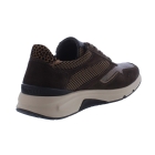 Gabor 0103.01.005 brons