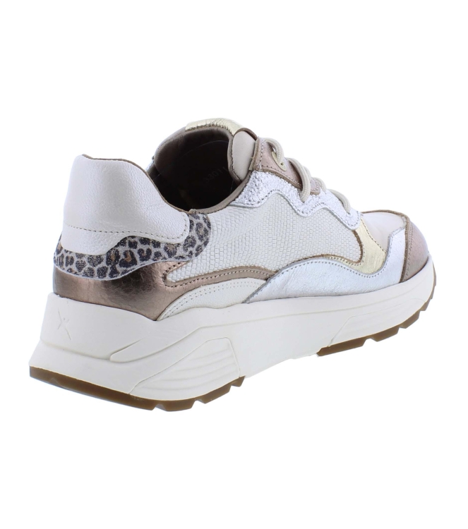 Xsensible 33011.3 Rainbow brons