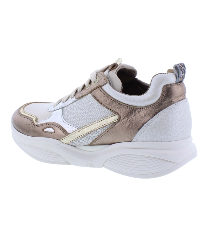 Xsensible 32010.3 SWX28 brons