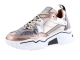 DWRS J5217-68 brons