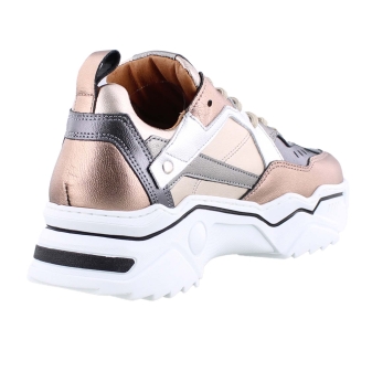 DWRS J5217-68 brons