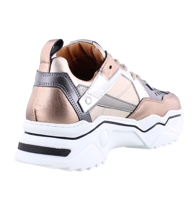 DWRS J5217-68 brons
