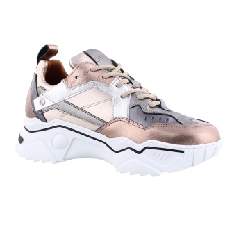 DWRS J5217-68 brons