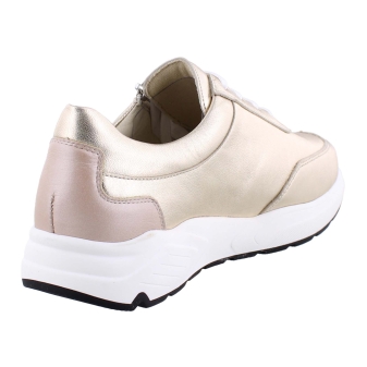 Solidus 43025 brons