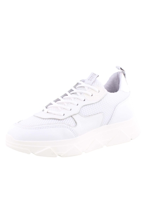 STEVE MADDEN SM11001024 wit
