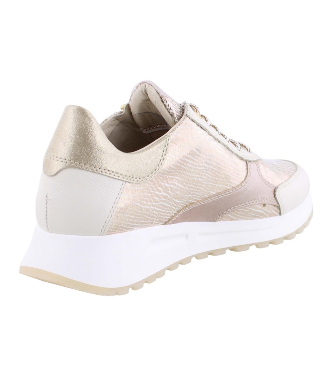 DL Sport 6526 goud