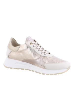 DL Sport 6526 goud