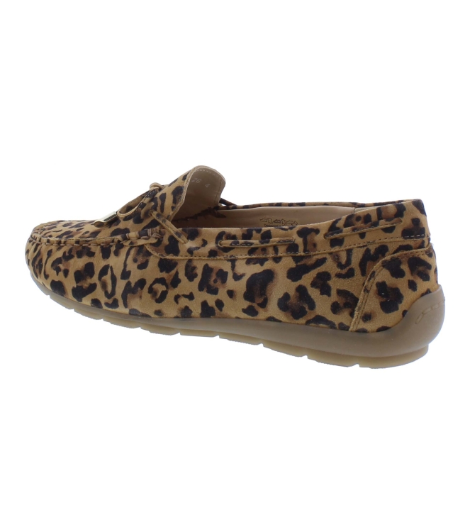 Ara 12-19212-26 bruin